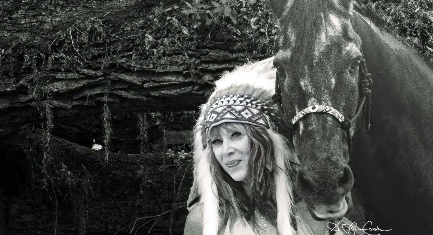 About Susan Lynn Cooke